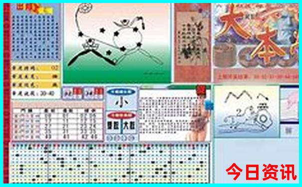 新奥天天最新动态全年爆料免费领取入口大全-新澳天天开奖资料大全600TK
